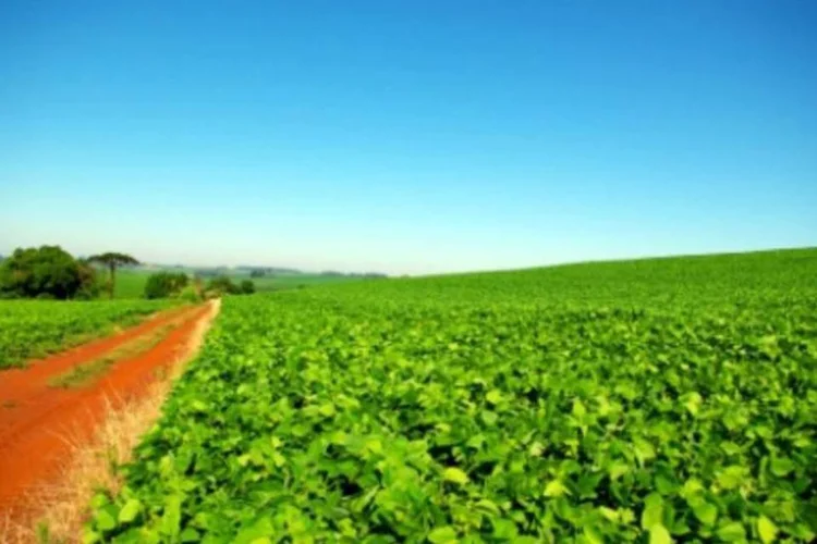 Momento do setor agropecuário é oportunidade de para reduzir impactos de uma nova crise sobre produtores