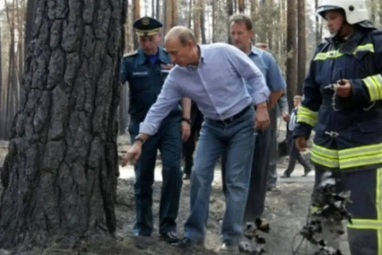 O primeiro-ministro russo, Vladimir Putin, anunciou a diminuição da previsão de colheira de trigo (AFP/Alexey Nikolsky)