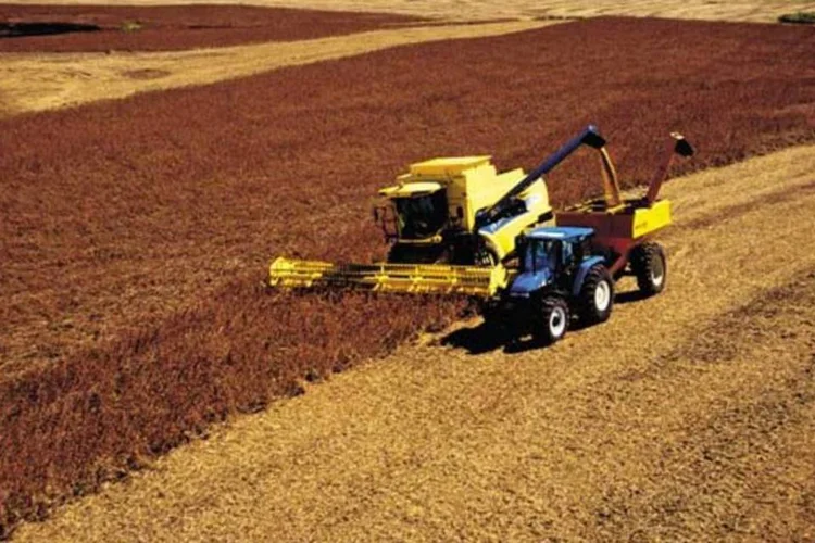 Plantação de Soja: Agrenco despenca em retorno à bolsa de valores (Arquivo/Exame/EXAME.com)