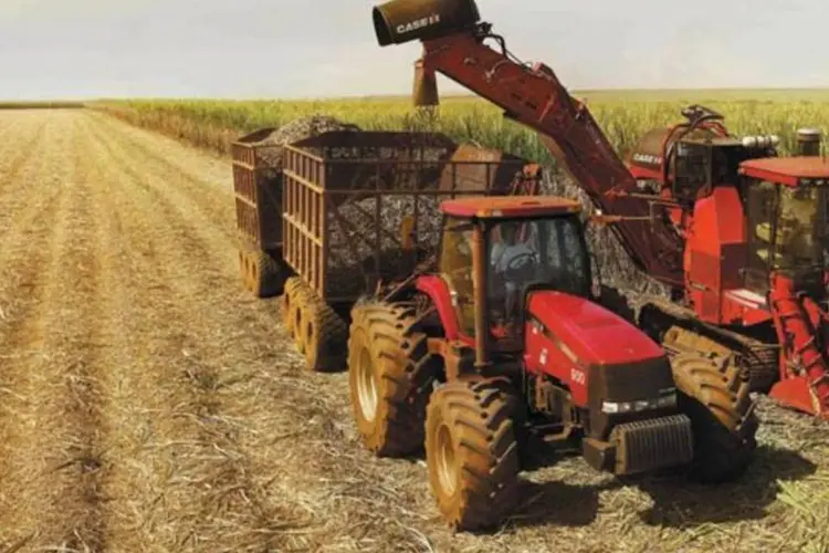 Plantação de cana de açúcar: Unica criticou os subsídios mantidos pelos EUA há 30 anos (Divulgação/Exame)