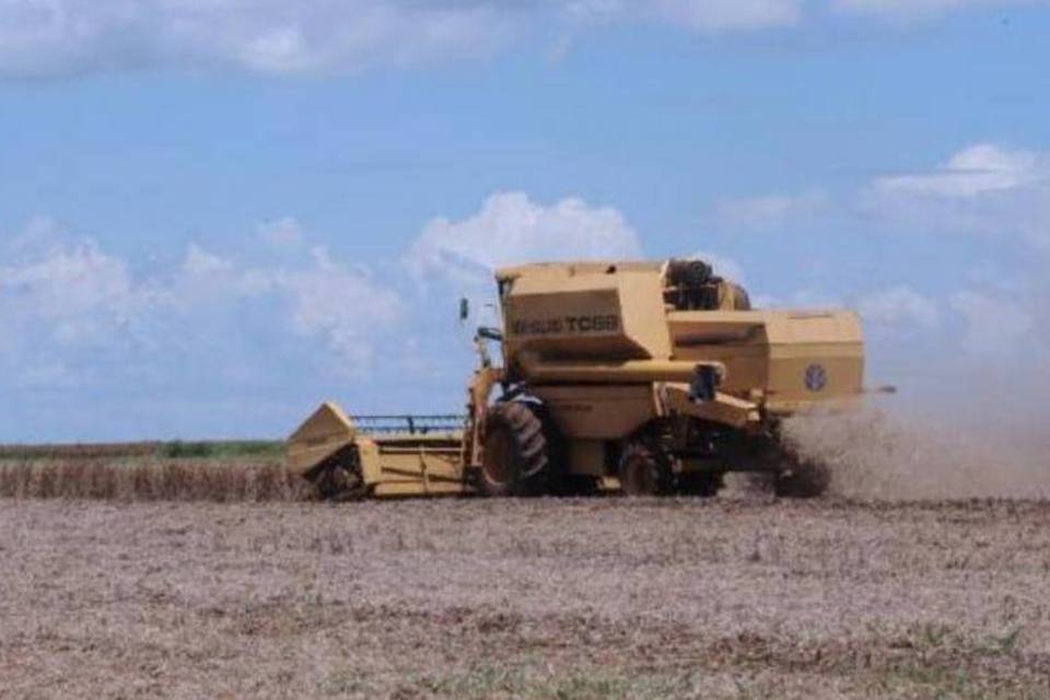 Plano para desburocratizar agropecuária prevê ganhos R$1 bi