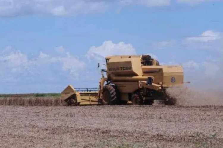 
	Agroneg&oacute;cio: companhia com sede em Chicago divulgou seu lucro l&iacute;quido do terceiro trimestre em 252 milh&otilde;es de d&oacute;lares
 (Arquivo/Agência Brasil)