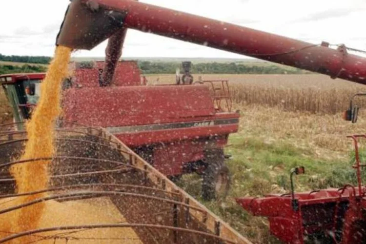 
	Agropecu&aacute;ria: os pre&ccedil;os subiram 1,20% na segunda pr&eacute;via do IGP-M de dezembro, ap&oacute;s alta de 2,44%
 (Arquivo/Agência Brasil)