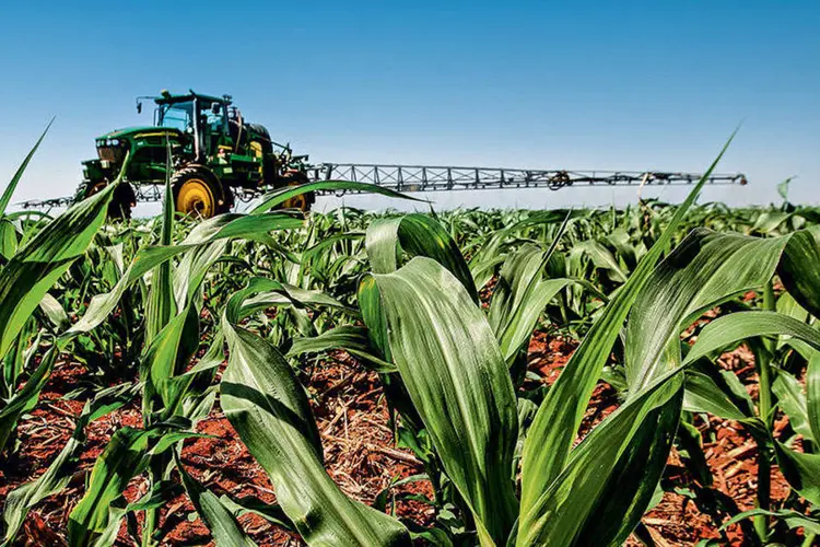 
	Agricultura: no primeiro semestre de 2015, o PIB da agropecu&aacute;ria cresceu 5,8% e limitou as retra&ccedil;&otilde;es de 7,8% na ind&uacute;stria e de 2,4% nos servi&ccedil;os
 (Cristiano Mariz / EXAME)