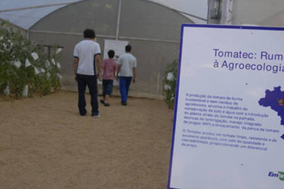 Tomatec: uma das 200 tecnologias que otimizam o trabalho do setor agropecuário (.)