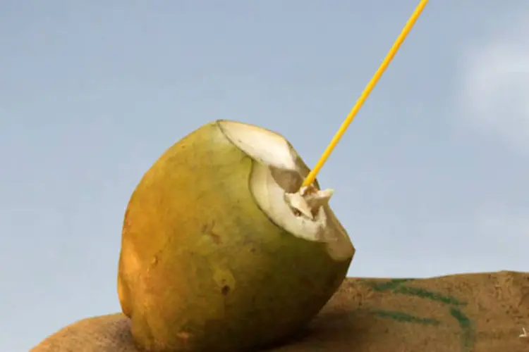
	&Aacute;gua de coco: segundo C&eacute;lia, bacharel em t&ecirc;xtil e moda, a decomposi&ccedil;&atilde;o do coco verde gasta em torno de 10 a 12 anos na natureza
 (Rajaram R / Stock Xchng)
