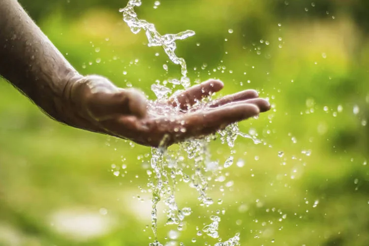 
	Os apps auxiliar&atilde;o no consumo inteligente de &aacute;gua para irriga&ccedil;&atilde;o, al&eacute;m de fiscalizar o desperd&iacute;cio dela
 (Getty Images)