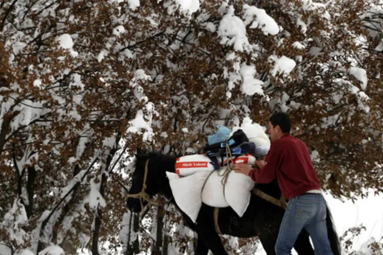
	Alban&ecirc;s carrega comida em uma mula para a sua fam&iacute;lia ap&oacute;s nevasca que atingiu a cidade de Kukes
 (Arben Celi/Reuters)