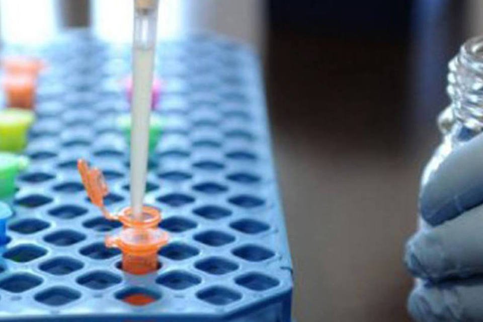 Testes iniciais em brotos de feijão têm resultado negativo para E.coli