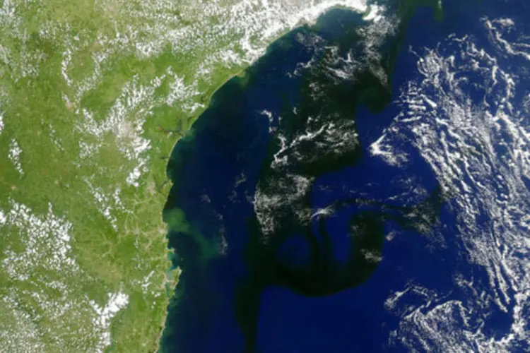 Proliferação de algas: as manchas escuras ocupam 800 quilômetros da costa carioca (NASA Earth Observatory/ Jesse Allen)