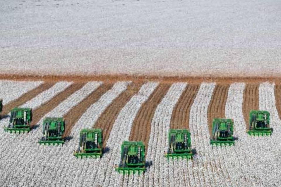 Conselho da SLC Agrícola aprova Pavinato como presidente