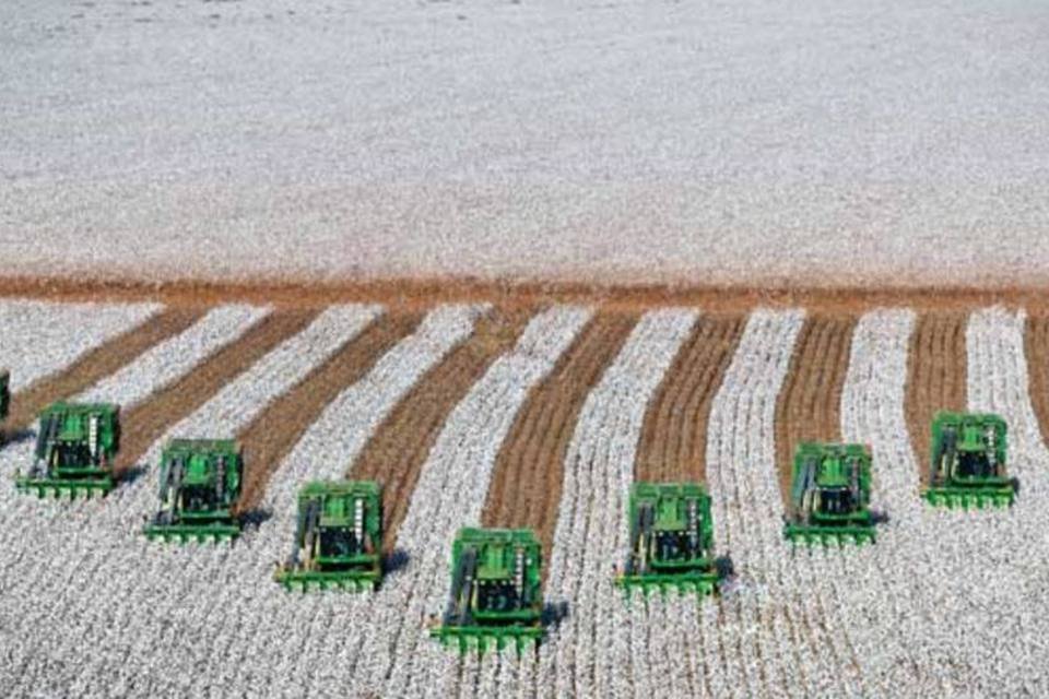 Novo modelo de negócio agrícola ganha espaço no país