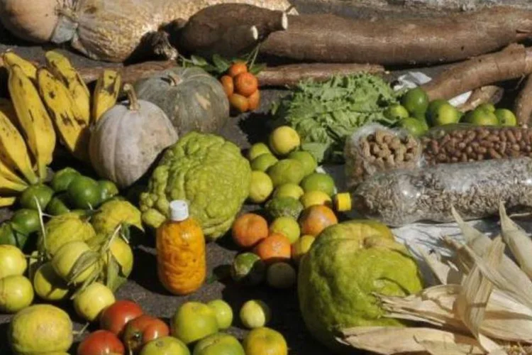 No período de 2012-2014, o 1,7% da população brasileira passou fome (Antonio Cruz/Agência Brasil)