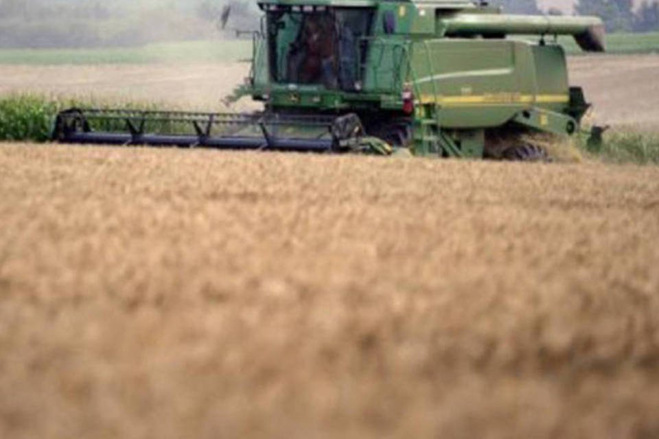Vendas de máquinas agrícolas caem quase 22% em novembro