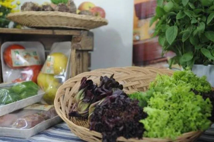 Ministério da Saúde lança guia alimentar para conter obesidade e doenças crônicas no país (Fernando Frazão/Agência Brasil)