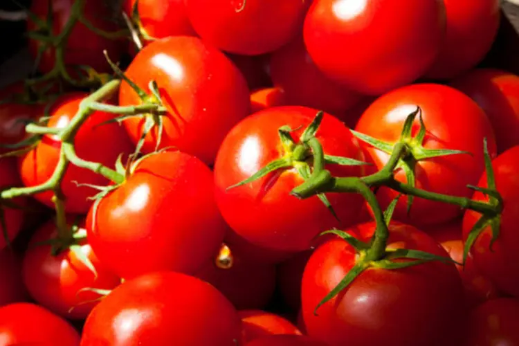 
	Tomates: para 2016, o cen&aacute;rio de infla&ccedil;&atilde;o tamb&eacute;m piorou
 (ThinkStock)