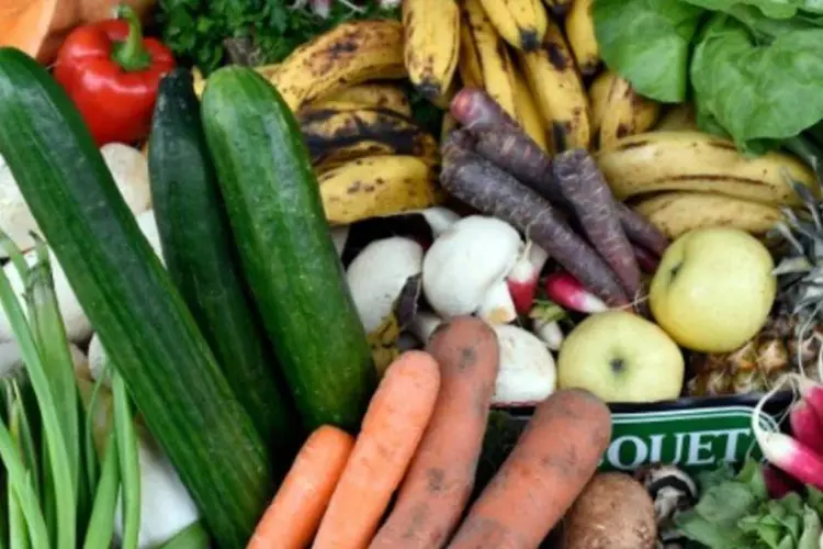 Alimentos: cada habitante da região desperdiça por ano 223 quilos de alimentos (MIGUEL MEDINA/AFP)
