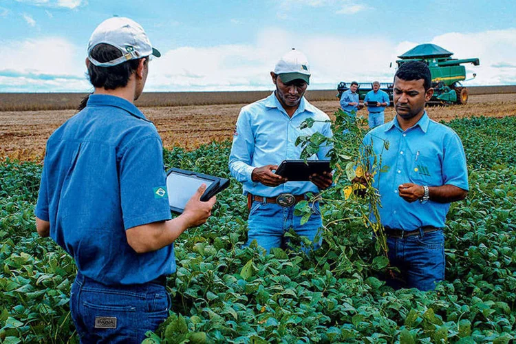 Funcionários da Amaggi, uma das maiores produtoras de soja do país: aumento da remuneração e aprimoramento do pacote de benefícios para disputar profissionais (Divulgação)