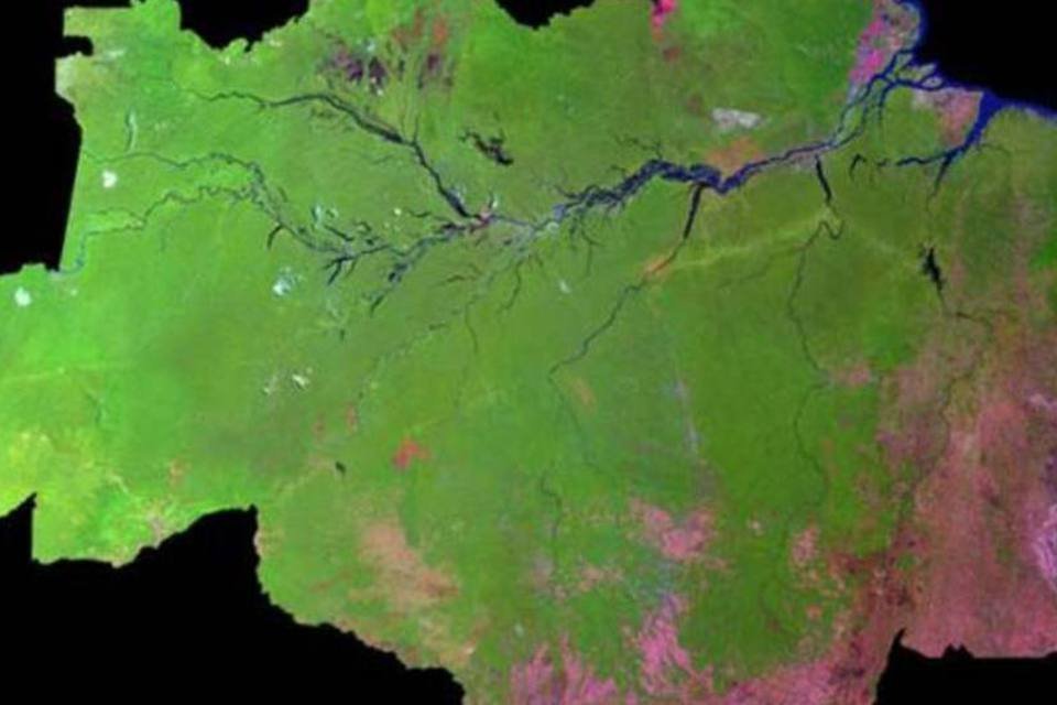 Projeto científico deve prever impacto das mudanças climáticas na Amazônia