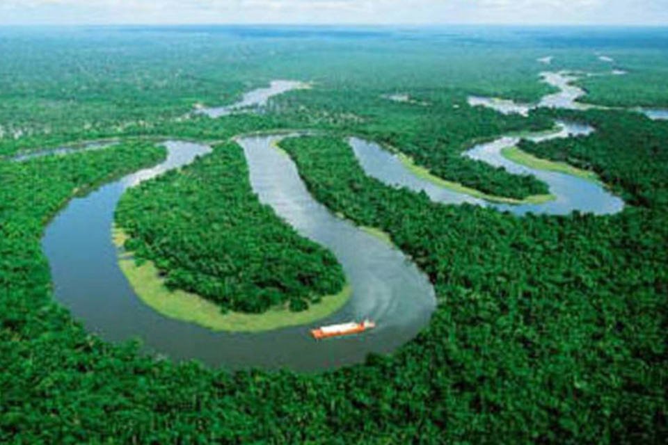Amazônia: desmatamento e tráfico aéreo de drogas preocupam os norte-americanos (Divulgação)