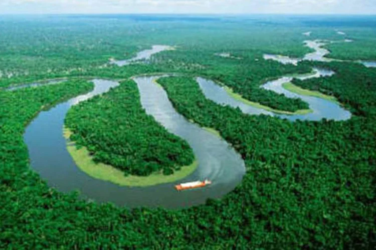 
	Amaz&ocirc;nia: uma das &aacute;reas mais promissoras e menos avan&ccedil;adas &eacute; o uso comercial das florestas
 (Divulgação)