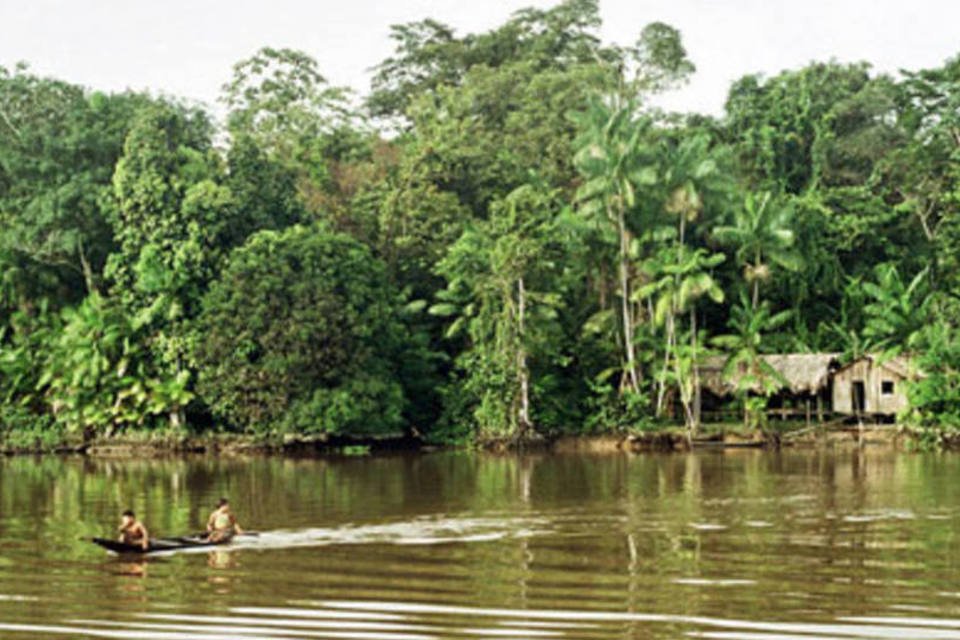 Desmate na Amazônia cai 49%, diz governo