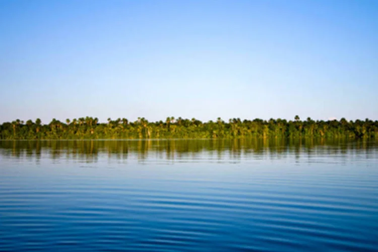 
	&Aacute;gua na Amaz&ocirc;nia
 (Getty Images)