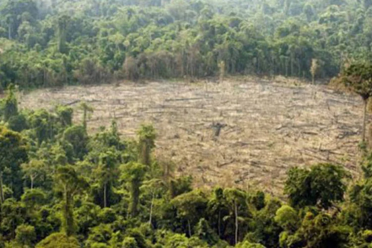 Devastação da floresta amazônia no Estado do Pará, norte do Brasil: região conta com a maior selva tropical do mundo, além de possuir uma das principais fontes de água doce do planeta (Antonio Scorza/AFP)