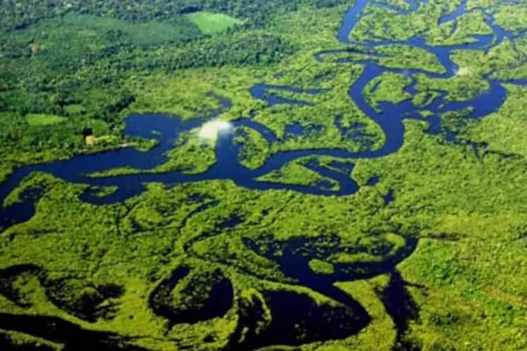 Países amazônicos têm brigado pelo domínio ".amazon" desde 2012 (Arquivo/Reprodução)