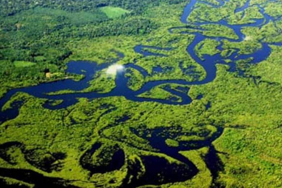 Brasil vai ampliar gestão privada da Amazônia