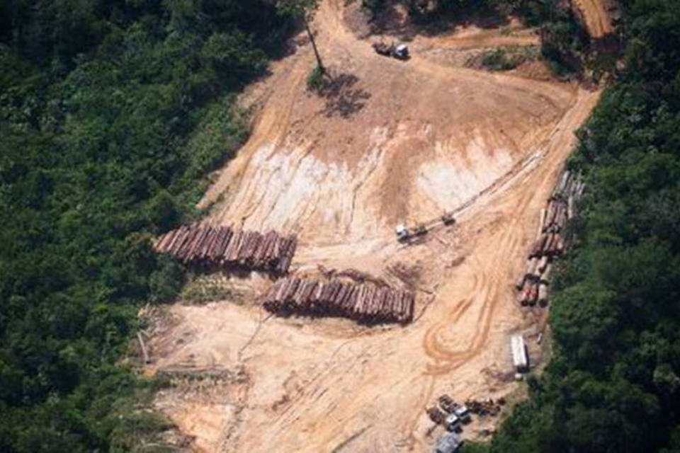 Desmatamento na Amazônia brasileira subiu 467%, alerta ONG