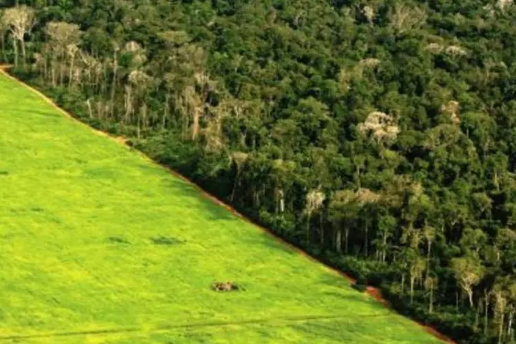 Pedaço de terra pública na Amazônia pode custar R$ 2,99 por hectare, de acordo com a nova tabela de preços definida pelo governo. (.)