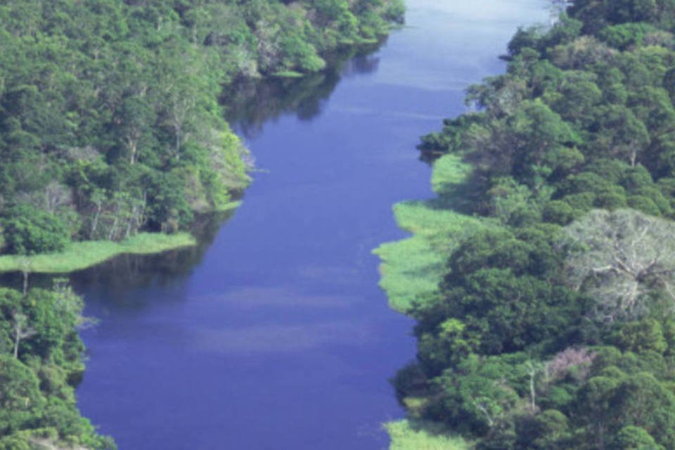 Desmate caiu quase à metade na Amazônia, indica Inpe