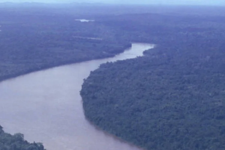 29% da área da floresta não pode ser medida devido a presença de nuvens (Arquivo/ARI LAGO/Divulgação)
