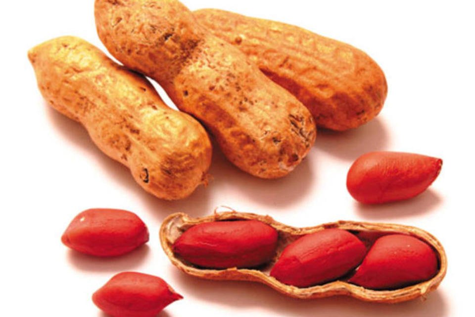 Consumir amendoins na 1ª infância reduz risco de alergia