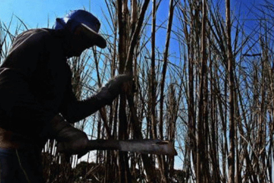 Contag denuncia ameaças de morte a 347 trabalhadores rurais