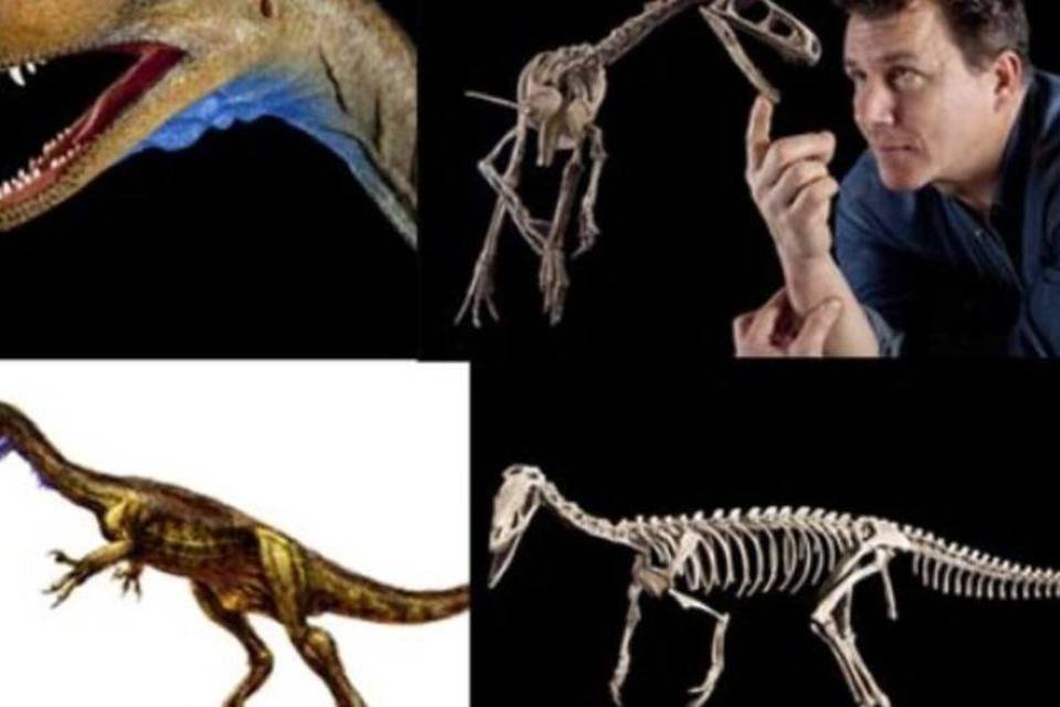 Cientistas argentinos e americanos descobrem novo ancestral do T-Rex