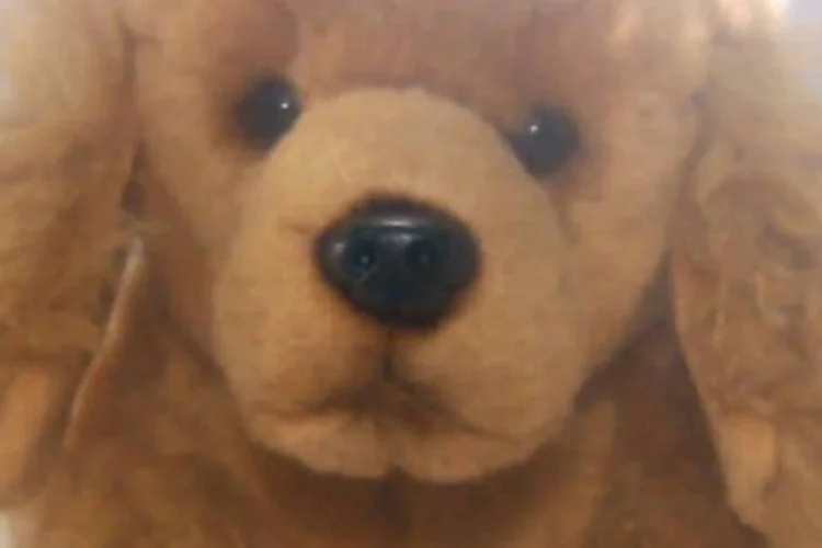 
	Cachorro de pel&uacute;cia em comercial: iniciativa pede para que n&atilde;o se compre animais de uma loja
 (Reprodução)