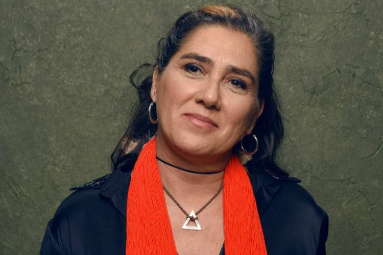
	Anna Muylaert, diretora do filme &quot;Que horas ela volta?&quot;
 (Larry Busacca/Getty Images)