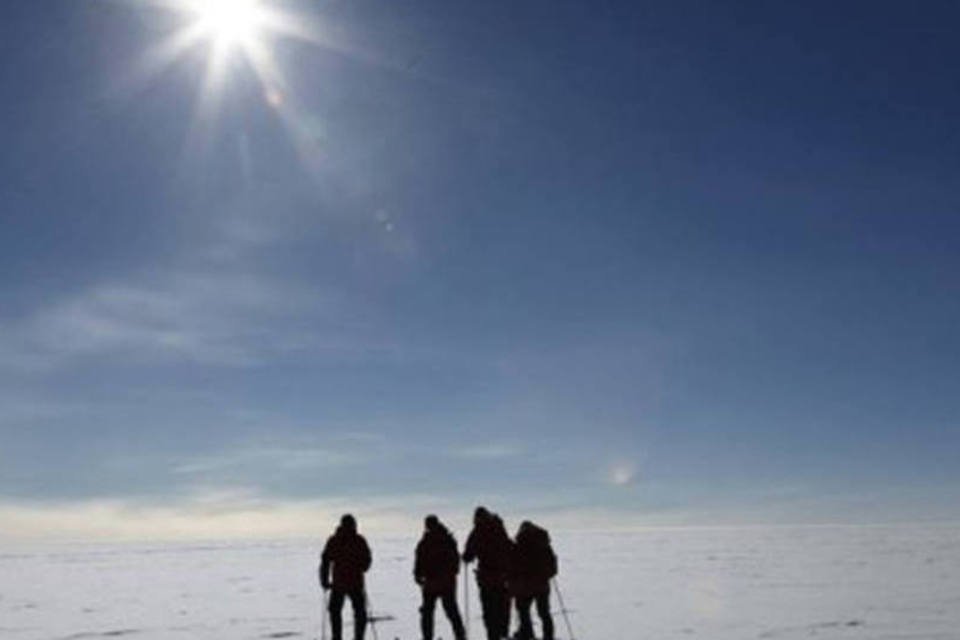 Sementes levadas por turistas ameaçam Antártica