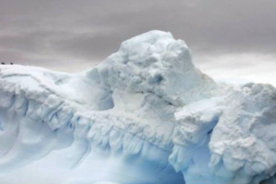 Robô registra imagens raras da vida marinha sob gelo da Antártica