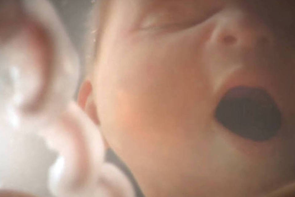 Campanha mostra, por dentro, vida de bebê ainda no útero