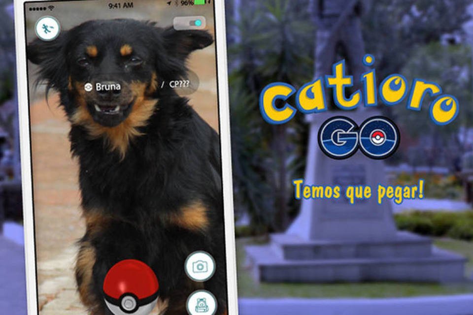 Catioro Go convida pessoas a capturar cães abandonados