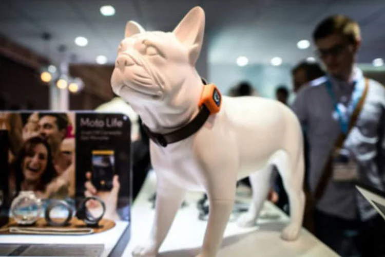 
	Aplicativo na coleira de cachorro: a populariza&ccedil;&atilde;o dos smartphones e tablets criou uma ind&uacute;stria de produtos que usam aplicativos
 (AFP / Philippe Lopez)