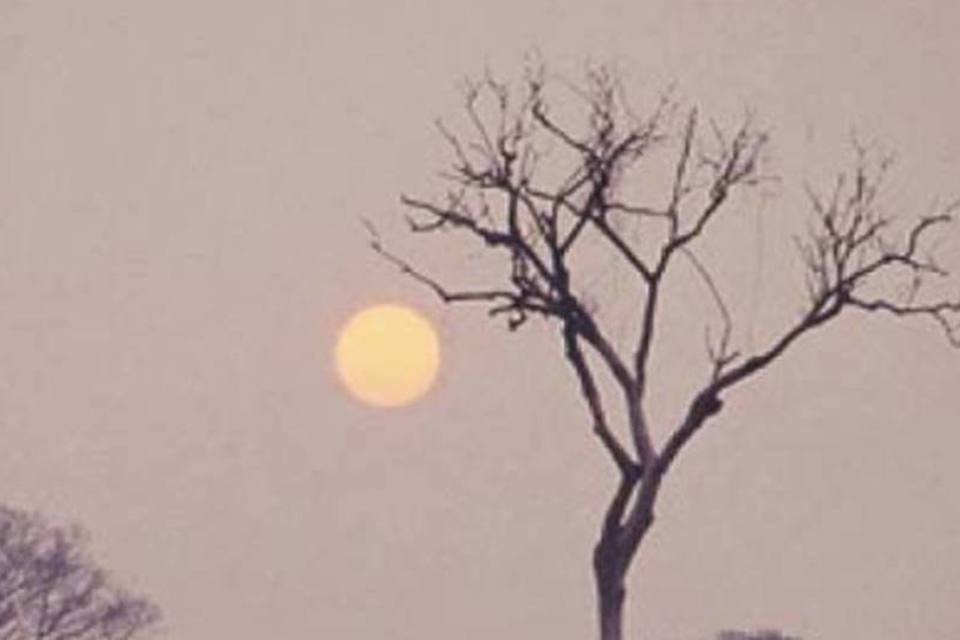 Uma luta cara pelo planeta