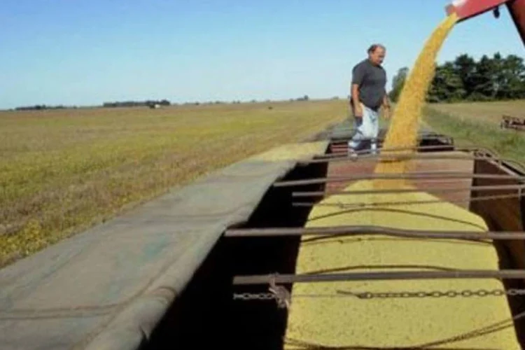 Transporte de soja: Paraná exporta em torno de 45% da soja que produz (Daniel Garcia/AFP)