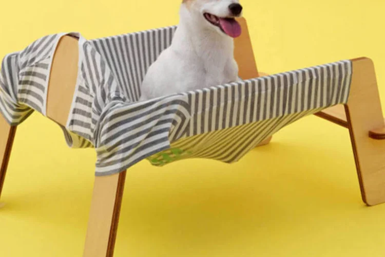 Abrigo para cachorro criado por arquitetos internacionais (Divulgação)