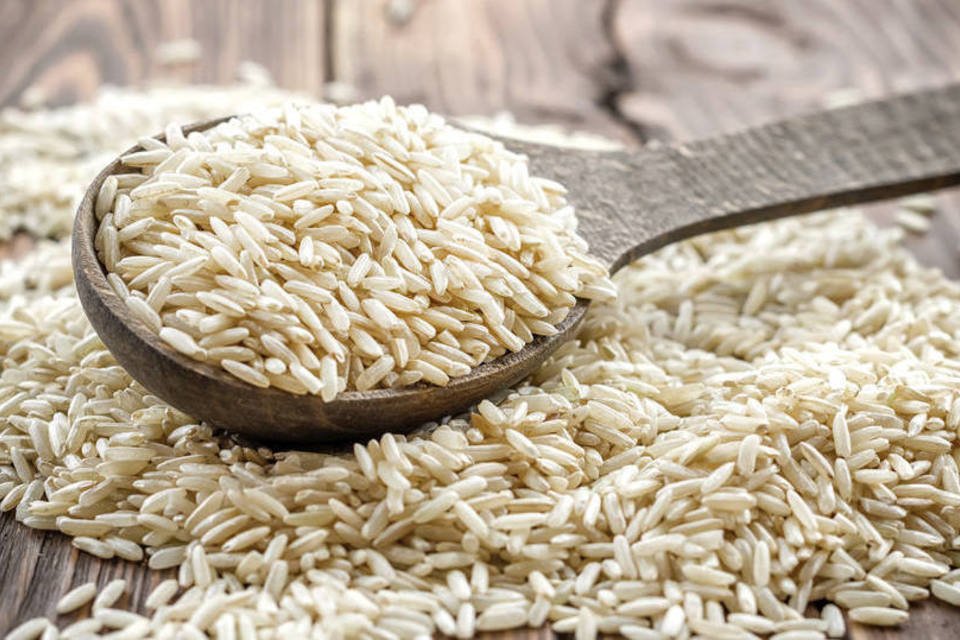 Pesquisa abre portas para revolução no cultivo do arroz
