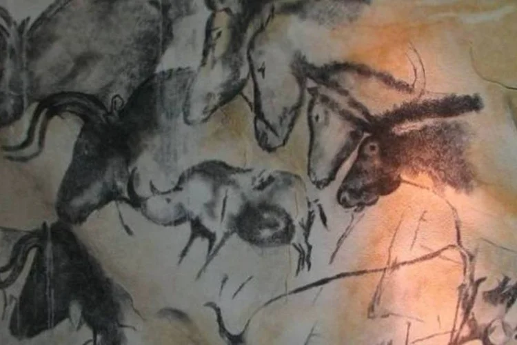 
	Arte rupestre na caverna Chauvet, Sul da Fran&ccedil;a
 (Wikimedia Commons)