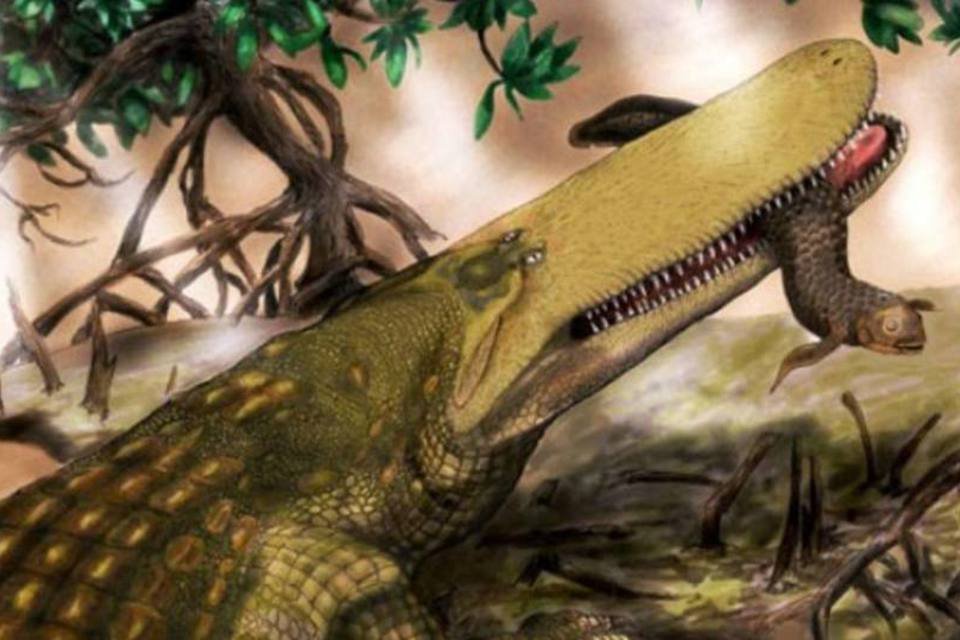 Aegisuchus witmeri, que viveu há 95 milhões de anos, durante o Cretáceo Superior, tinha escudo protetor na cabeça (Divulgação)